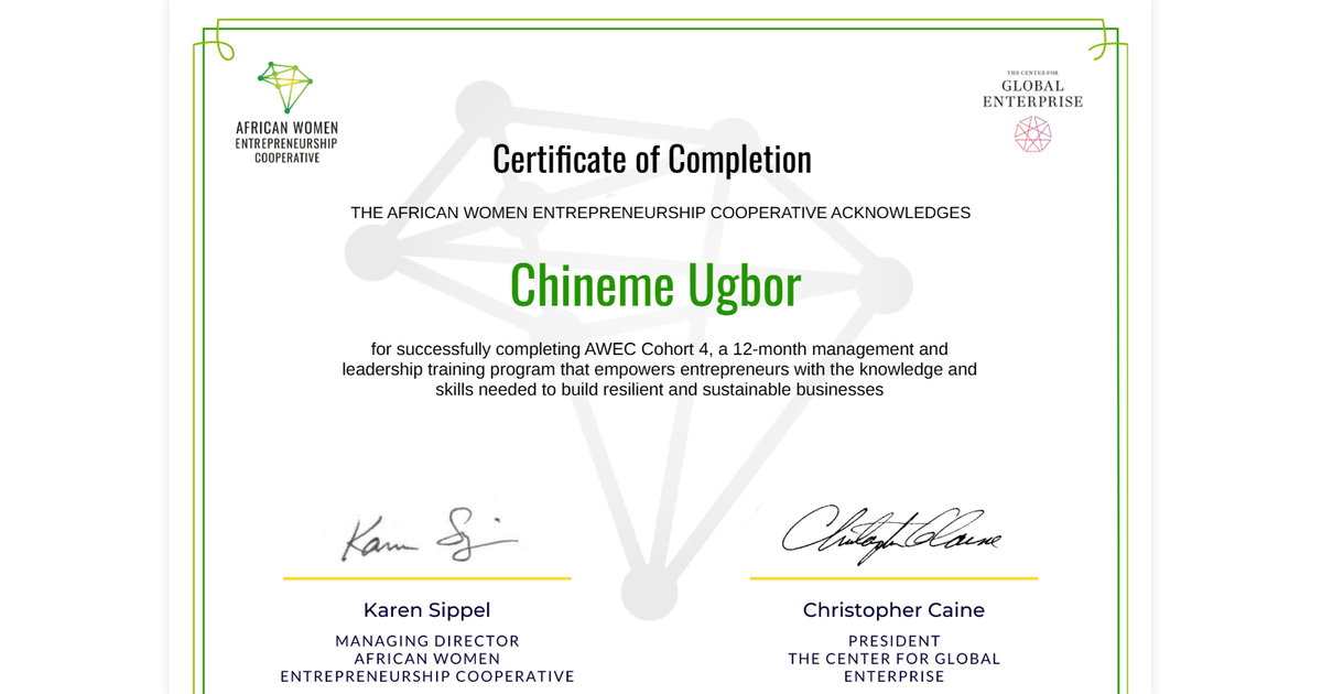 Chineme Ugbor | AWEC Cohort 4 | African Women Entrepreneurship ...